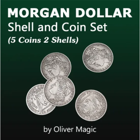 Morgan Dollar Shell and Coin Set