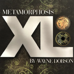 Metamorphosis XL