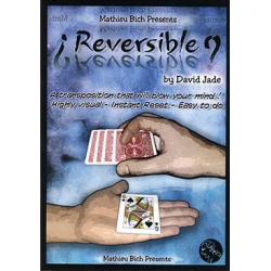 Reversible by Mathieu Bich